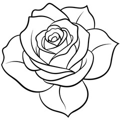  Flower vector illustration.

