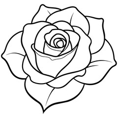  Flower vector illustration.

