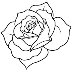  Flower vector illustration.

