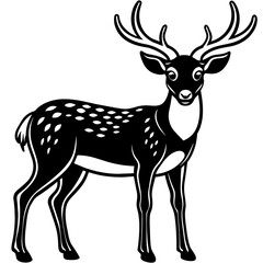     Deer vector illustration
