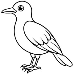 Bird vector illustration.

