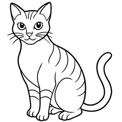cat vector illustration.
