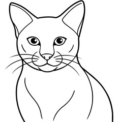 cat vector illustration.

