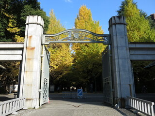 銀杏並木の黄葉に彩られた東京大学の正門（本郷キャンパス）