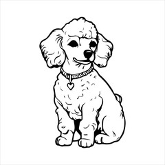 Poodle Dog breed vector image Isolated black silhouette on white background Cute line art illustration 
