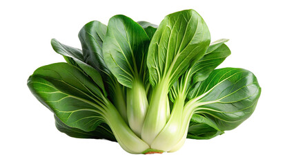 Green bok choy, a type of Chinese cabbage isolated on transparent background.