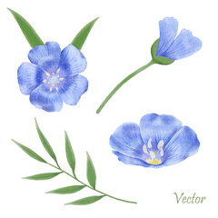 Beautiful Watercolor Flax Flowers - Spring Botanical Design