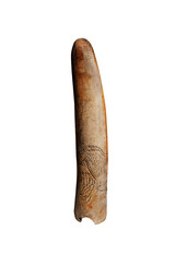 Ancient carved antler, Pierced Baton isolated on white background. Horse picture engraved on the antler. Recording through Drawing. 