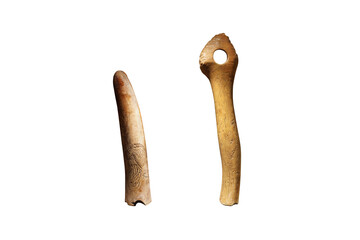 Ancient carved antlers, Pierced Baton isolated on white background. Recording through Drawing. 