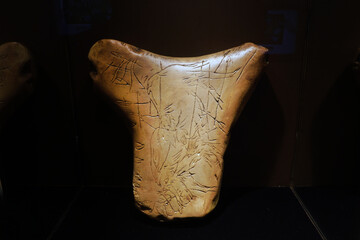 Ancient record on horse pelvis in museum. Horse picture engraved on the horse pelvis by done Cor-Magon. Recoding through Drawing.