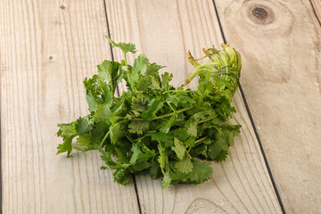 Green coriander leaves herb heap
