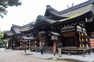 Fototapeta premium 住吉大社