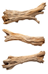 set of dry driftwood logs isolated on transparent background, png cutout