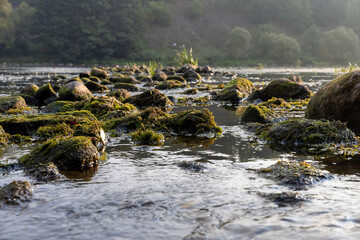 The river during the dawn in autumn , the waves on the river