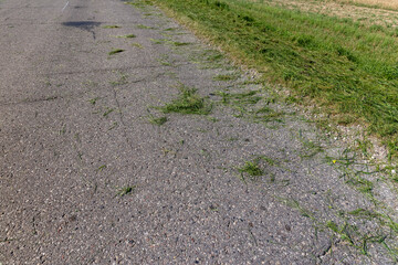 the edge and shoulder of the road are in green mown grass