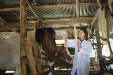Smiling female veterinarian with a stethoscope checking horse health on farm