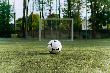 the soccer ball stands on the soccer field in front of the goal © Volodymyr