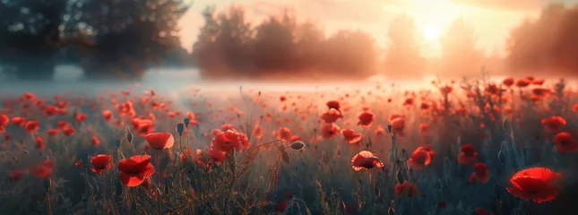 Schilderijen op glas field of poppies at sunrise, beautiful summer landscape with red flowers in the meadow, vibrant background with morning sun rays and misty air © YURII Seleznov