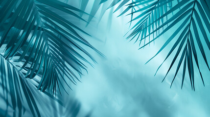 Summer on the beach with palm tree in the blue sky and clouds. with copy space. Minimal concept. pastel tones. Blurry background,Palm branch and shadows on light background, toned in turquoise. 