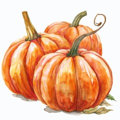 Professional watercolor clipart of pumpkins, top-tier quality, white backdrop