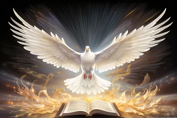 Foto auf Acrylglas a white dove flying over a book © Galina