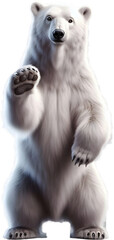 the poses of a white polar bear