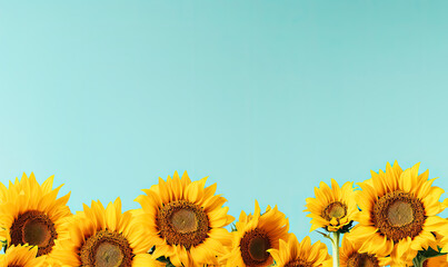 Yellow Sunflower Banner Background Design with Blue Sky Copy Space
