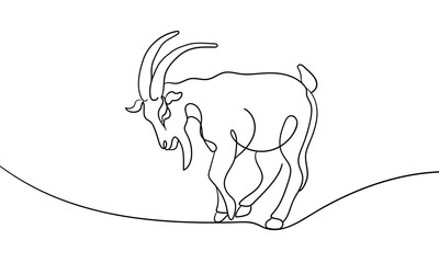 Goat continuous line art drawing isolated on white background. Animals line art drawing. Vector illustration