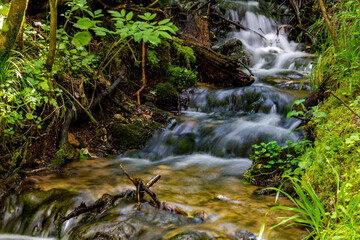 Beautiful forest stream, fast water flow close