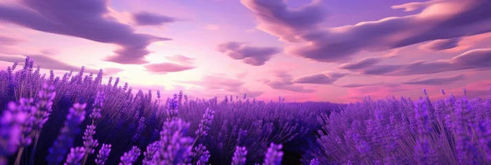 Muurstickers Lavender field © Guizal