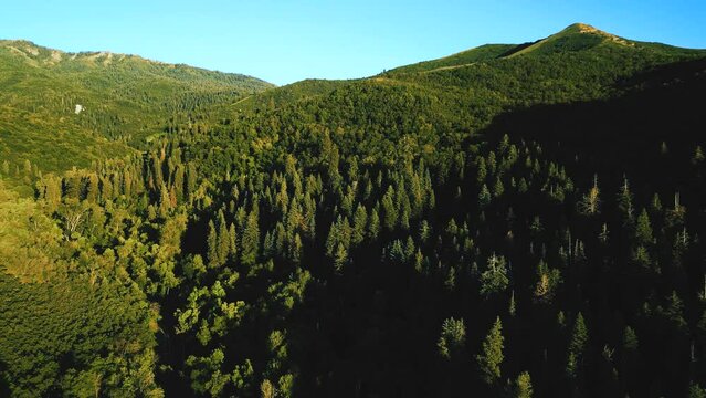 Drone shot of the Uinta National Forest in Utah during a sunny day