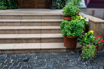 Wet potted plants on the stairs at the entrance to the building. Landscaping of the courtyard area.