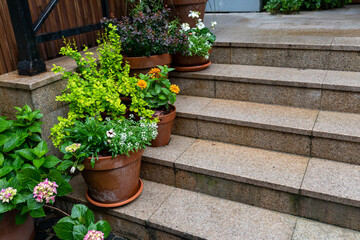 Flowers in large pots decorate the staircase near the entrance to the building.