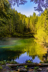 forest lake in the first rays of the sun, morning in the forest, crystal clear water, cold water, mountain lake