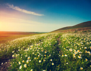 Fototapeta premium Beautiful landscape with flowering steppe at sunset, toned, retro style