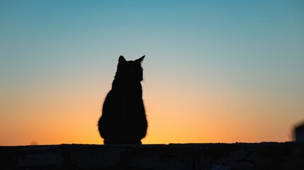  a plump cat silhouette sits atop an old city wall against the backdrop of a setting sun. As the sun sets behind it, the sky is colored orange and blue.