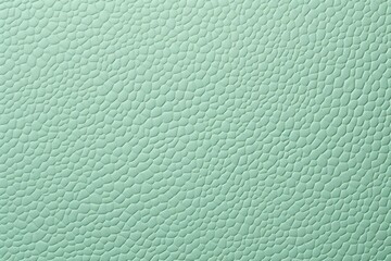 Mint Green leather pattern background with copy space for text or design showing the texture