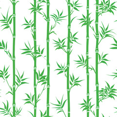 Vector Seamless Watercolor Pattern colorful Design a colorful vintage background with fir trees bamboo forest
