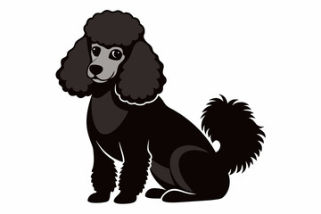 poodle sit down dog silhouette black vector illustration