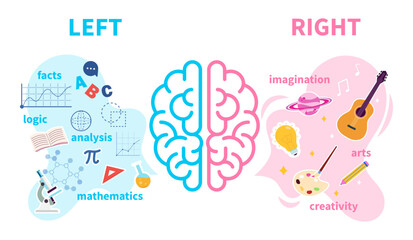 Left and right human brain concept. Creative part and logic part with social and business doodle. The mind brain human functions left right design vector illustration