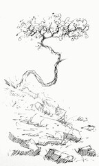 Obraz premium Hand drawn illustration of a tree