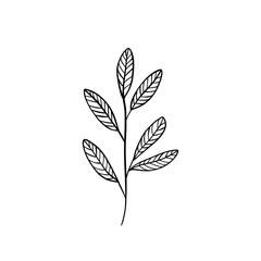 Botanical linear leaf. Abstract minimalist leaves collection, creative herbal art. Vector illustration