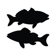 silhouette of cod fish on white
