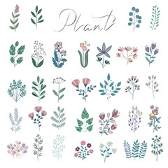 Vector set of house plants in pots, on stand. Isolated template of green cactus, monstera leaves, fern, ficus, zamioculcas. Botanical illustration of bush, branch for home interior. Line art