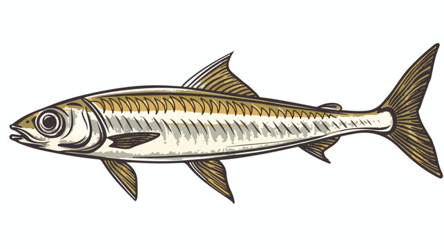 Sardine fish Vector illustration  Hand drawn  Out l