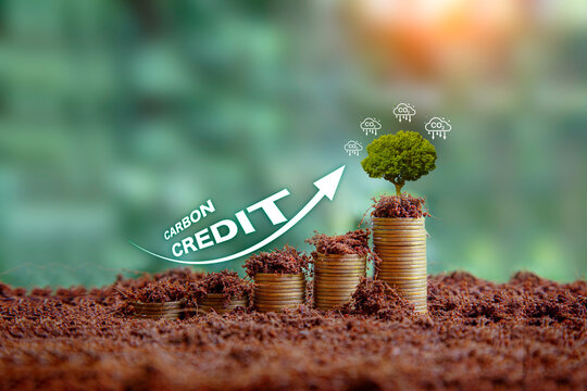 Carbon credit market and net zero concept. gold coin and upward arrow represent carbon reductions. Trading to offset greenhouse gas emissions into the environment. Can be traded on the carbon market