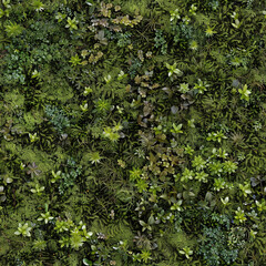 Deep Forest Moss Texture