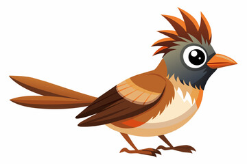 bulbul-vector illustration-white-background 