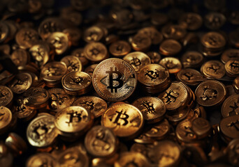 Bitcoin's meteoric rise in value multiplied their wealth significantly. - obrazy, fototapety, plakaty