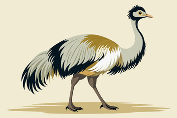 illustration of an ostrich - obrazy, fototapety, plakaty